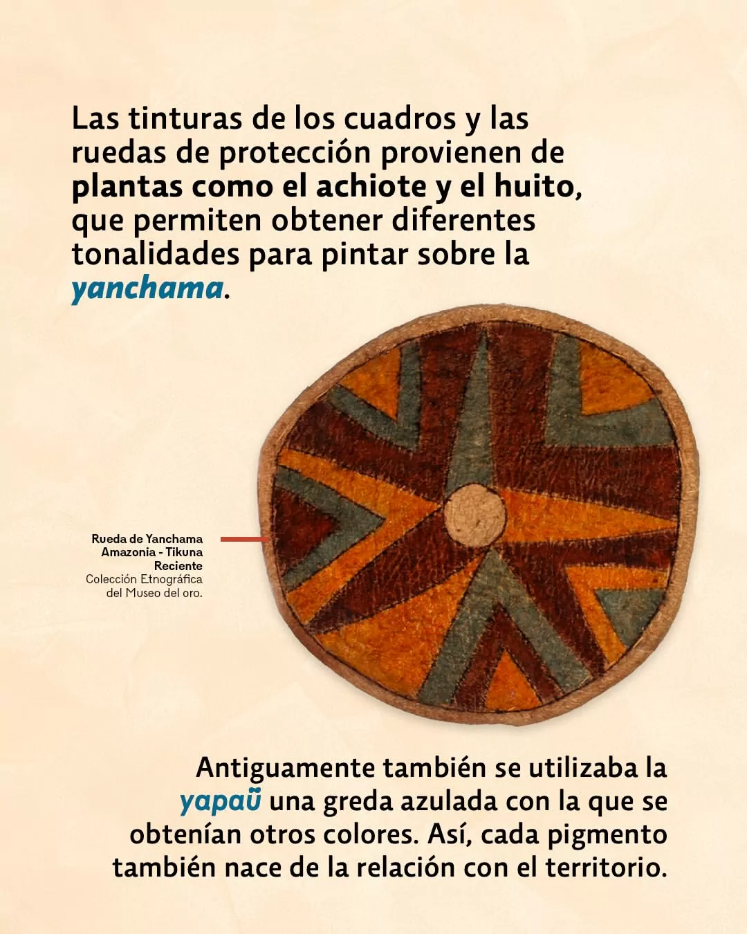 Las tinturas de los cuadros y de las ruedas de protección provienen de plantas como el achiote y el huitoto, que permiten obtener diferentes tonalidades para pintar sobre la yanchama. 