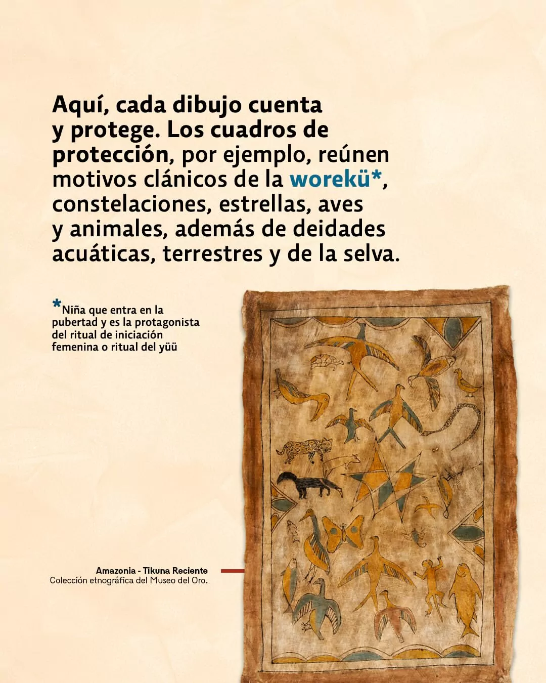 Aquí, cada dibujo cuenta y protege. Los cuadros de protección, por ejemplo, reúne motivos clánicos de la worekü, constelaciones, estrellas, aves y animales, además de deidades acuáticas, terrestres y de la selva.