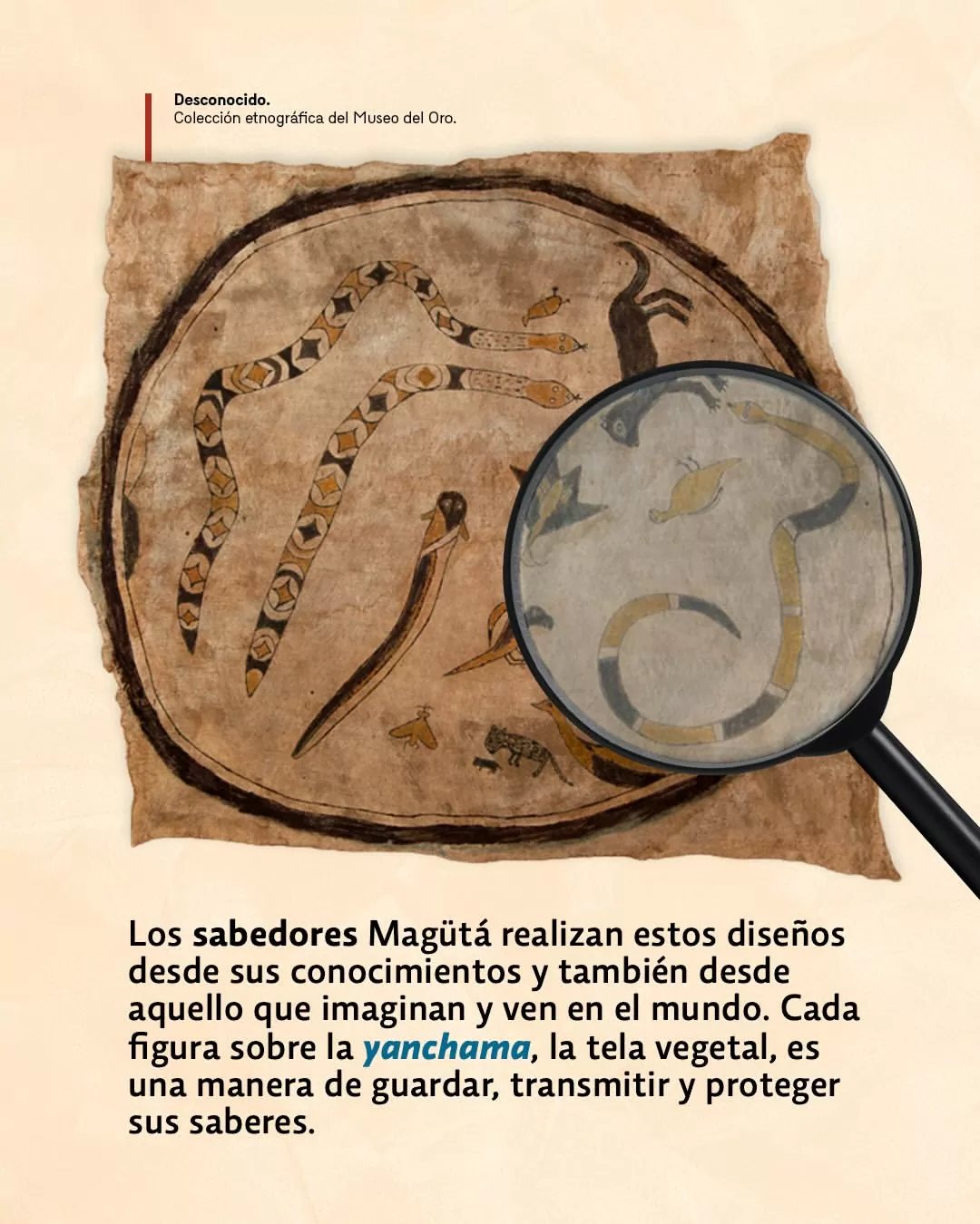 Los sabedores Magüta realizan estos diseños desde sus conociemientos y también desde aquello que imaginan y ven en el mundo. Cada figura sobre la Yanchama, la tela vegetal, es manera de guardaar, transmitir y proteger sus saberes.