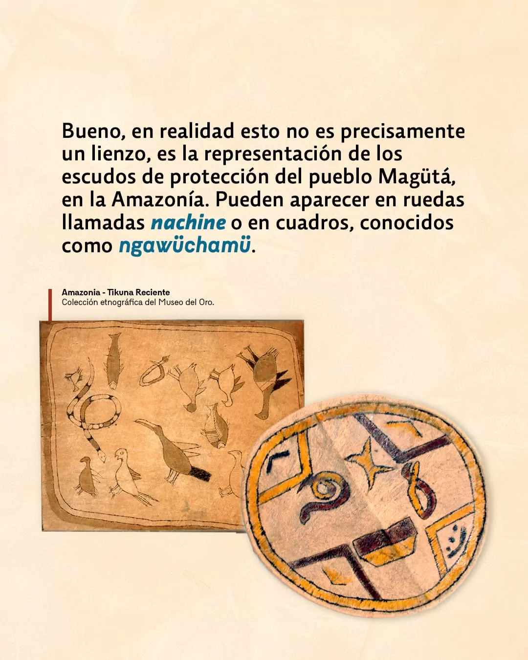 Bueno, en realidad esto no es precisamente un lienzo, es la representación de los escudos de protección del pueblo Magütá, en la Amazonía.