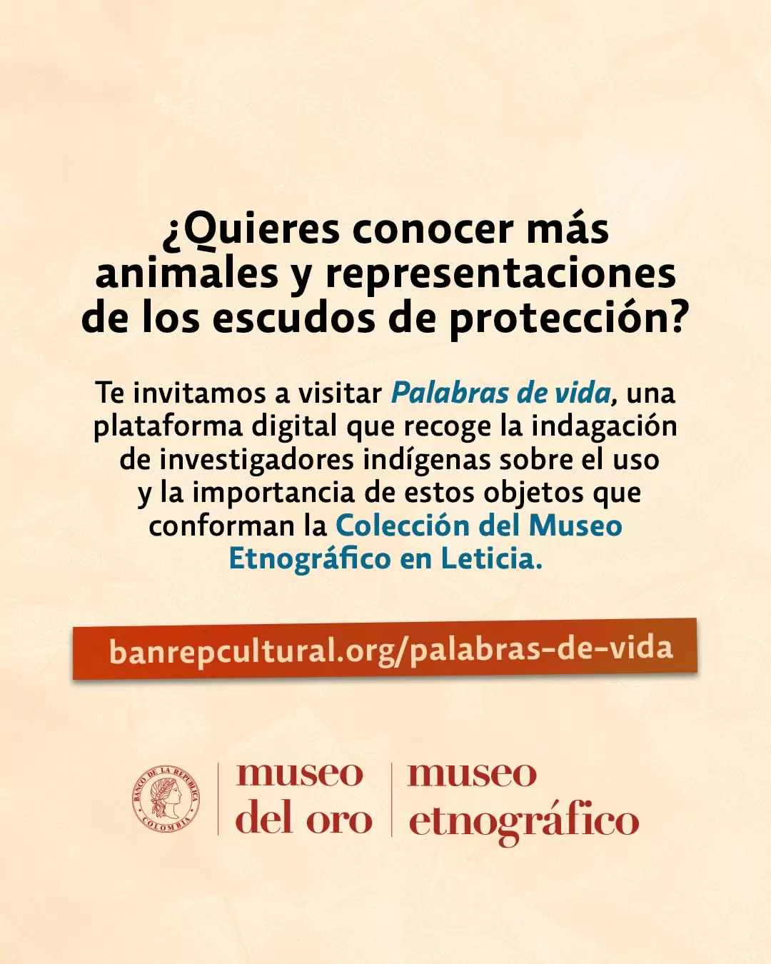 ¿Quieres conocer más animales y representaciones de los escudos de protección?