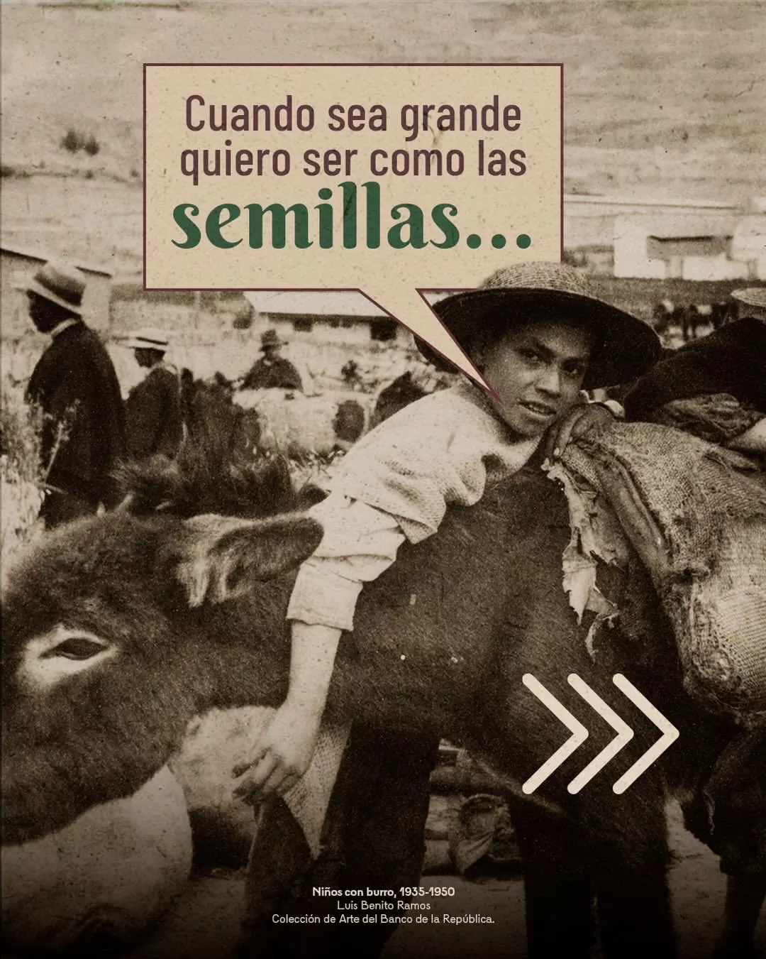 Cuando sea grande quiero ser como las semillas...