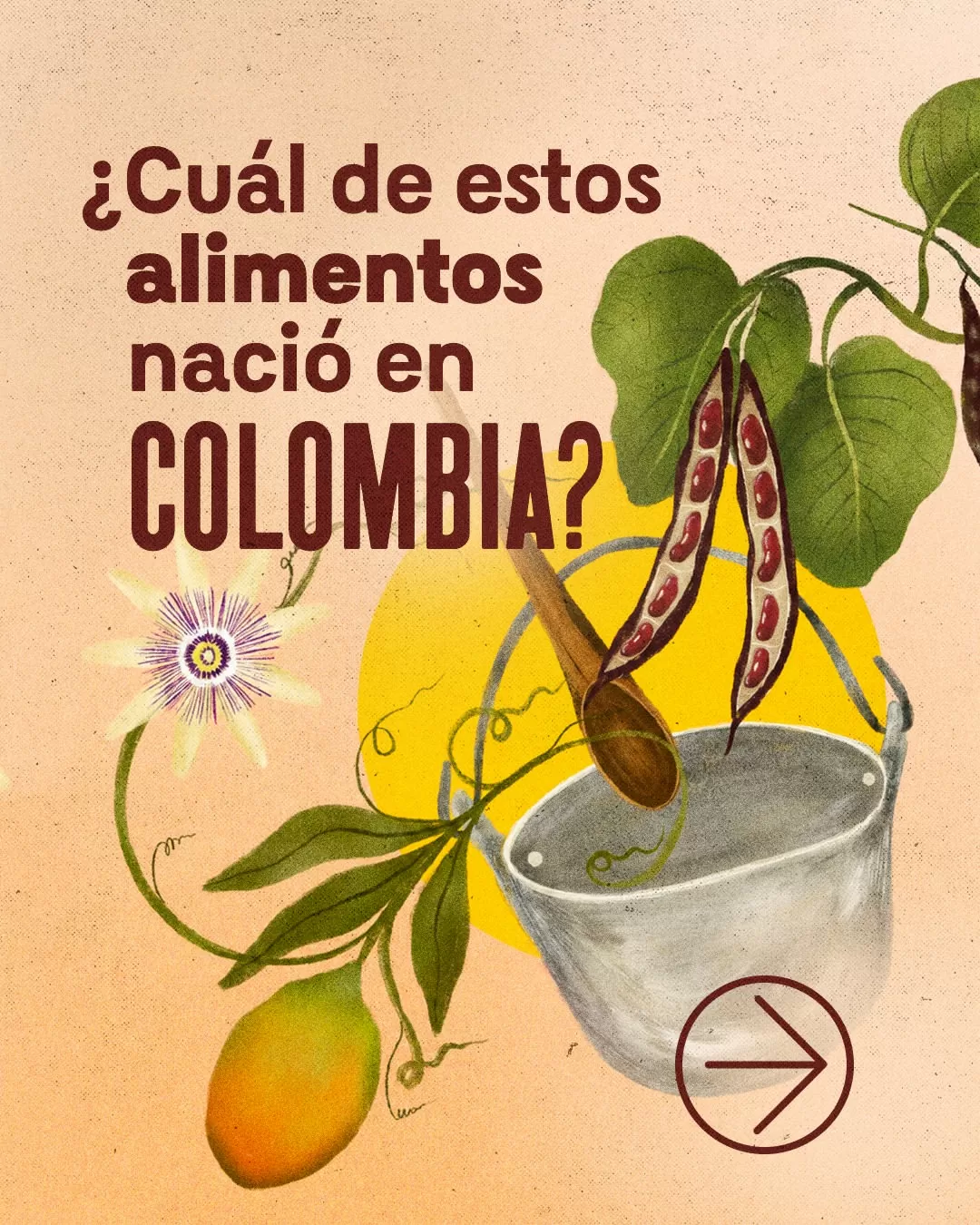 ¿Cuál de estos alimentos nació en Colombia?