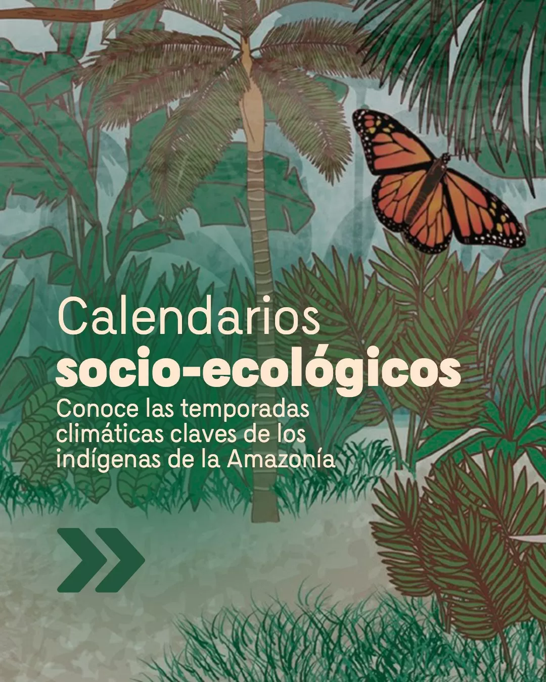 Imagen ilustrada, con una mariposa y naturaleza, sobre los Calendarios socio-ecológicos de la Amazonía