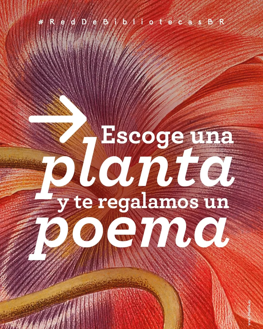 Escoge una planta y te regalamos un poema.