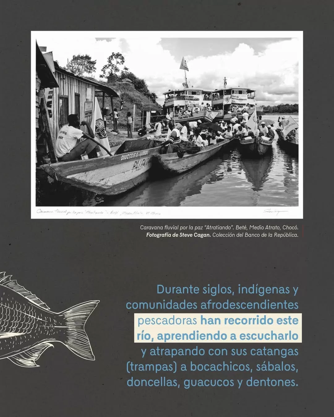 Foto a blanco y negro de una caravana fluvial por la paz "Atratiando". Beté, Medio Atrato, Chocó. Fotografía de Steve Cagan 