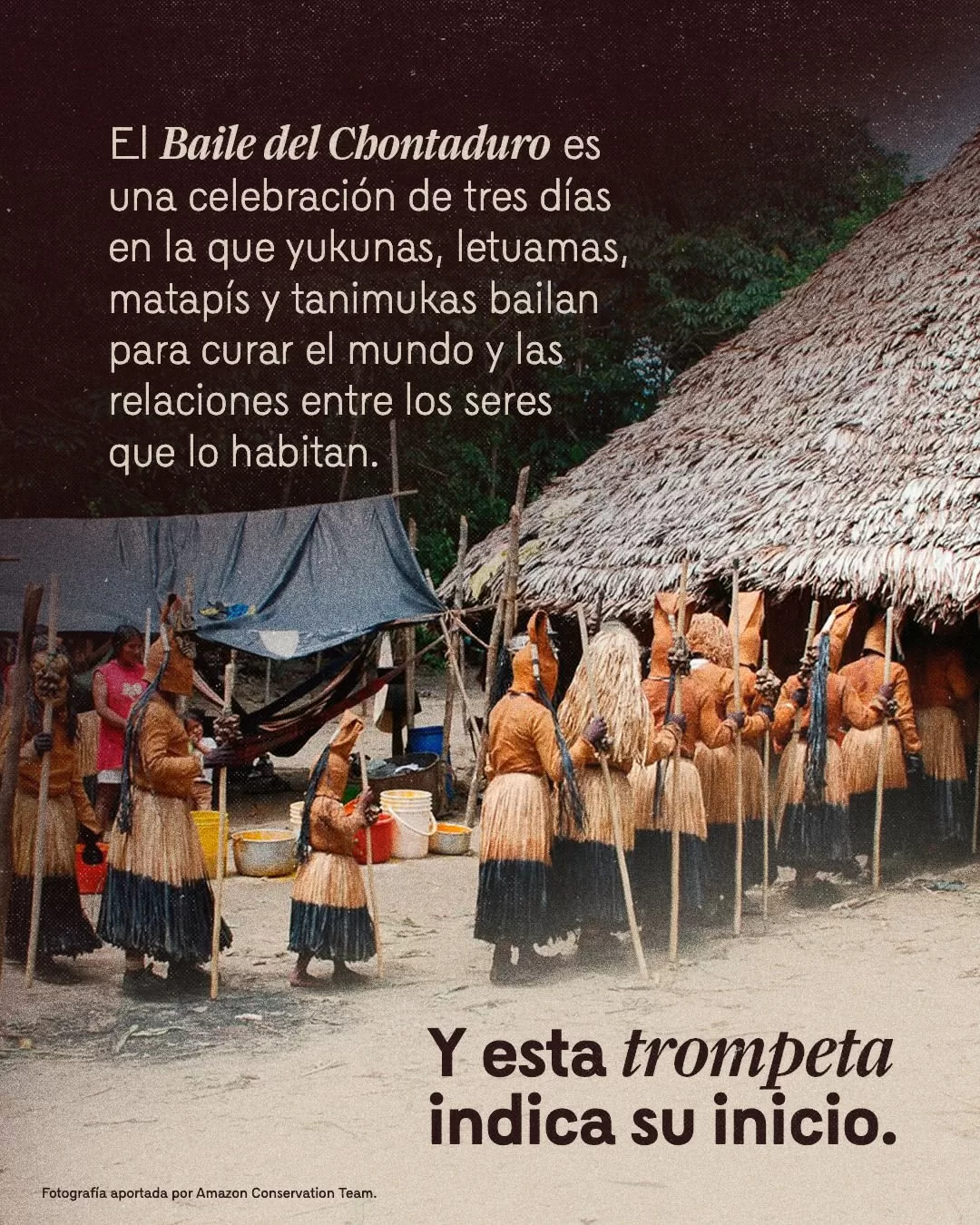El baile del chontaduro es una celebración de tres días en la que yukunas, letuamas, matapís y tanimukas bailan para curar el mundo y las relaciones entre los seres que lo habitan. 