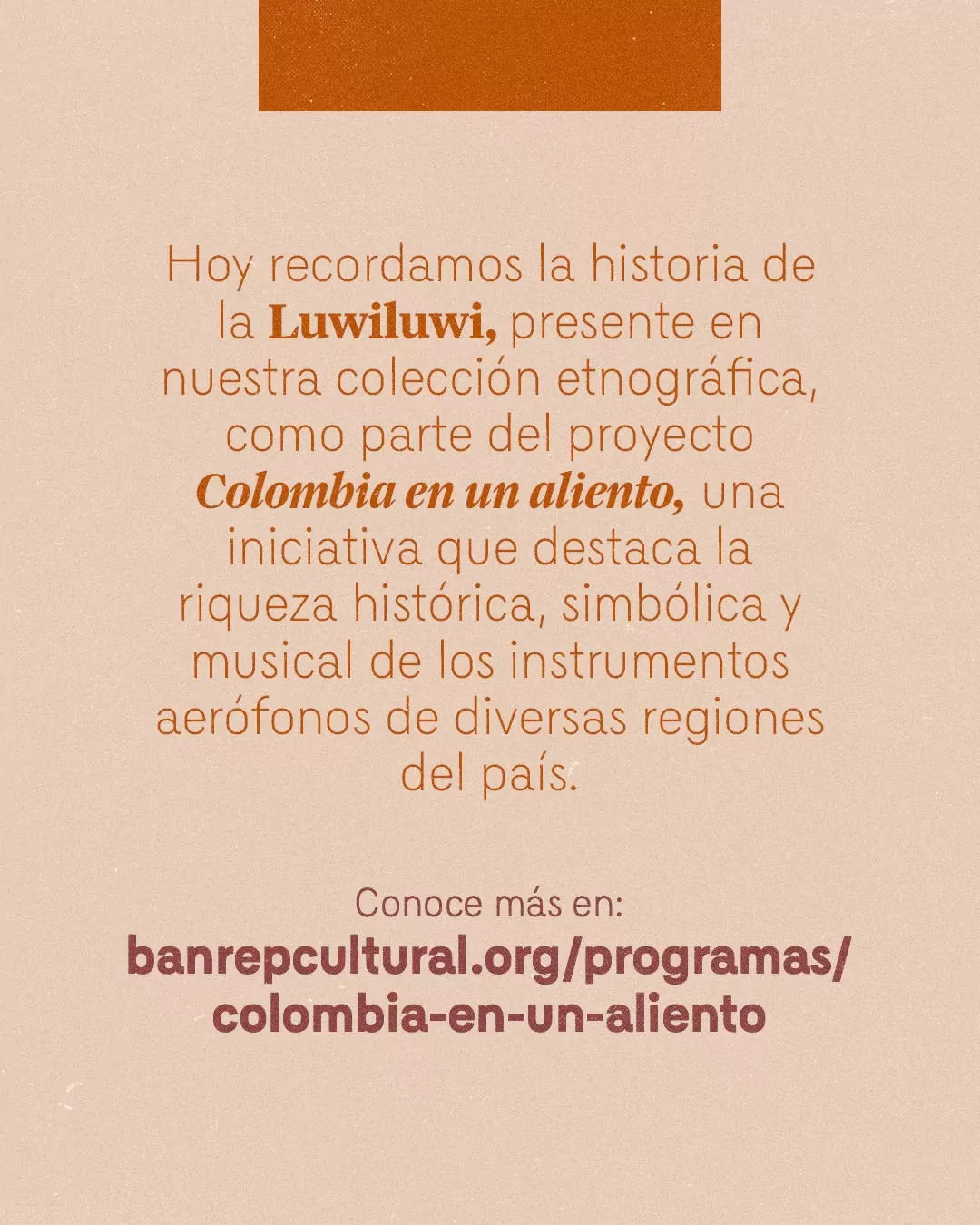 Hoy recordamos la historia de la Luwiluwi, presente en nuestra colección etnográfica, como parte del proyecto Colombia en un aliento, una iniciativa que destaca la riqueza histórica, simbólica y musical de los instrumentos aerófonos de diversas regiones del país.