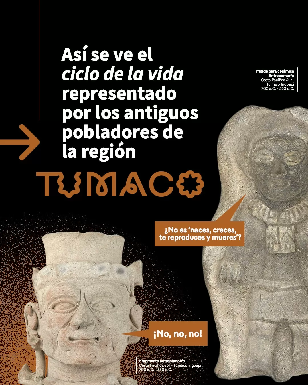 Así se ve el ciclo de la vida representado por los antiguos pobladores de la región Tumaco.