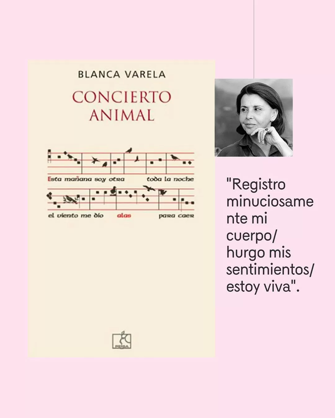 'Concierto animal' (1999), de Blanca Varela