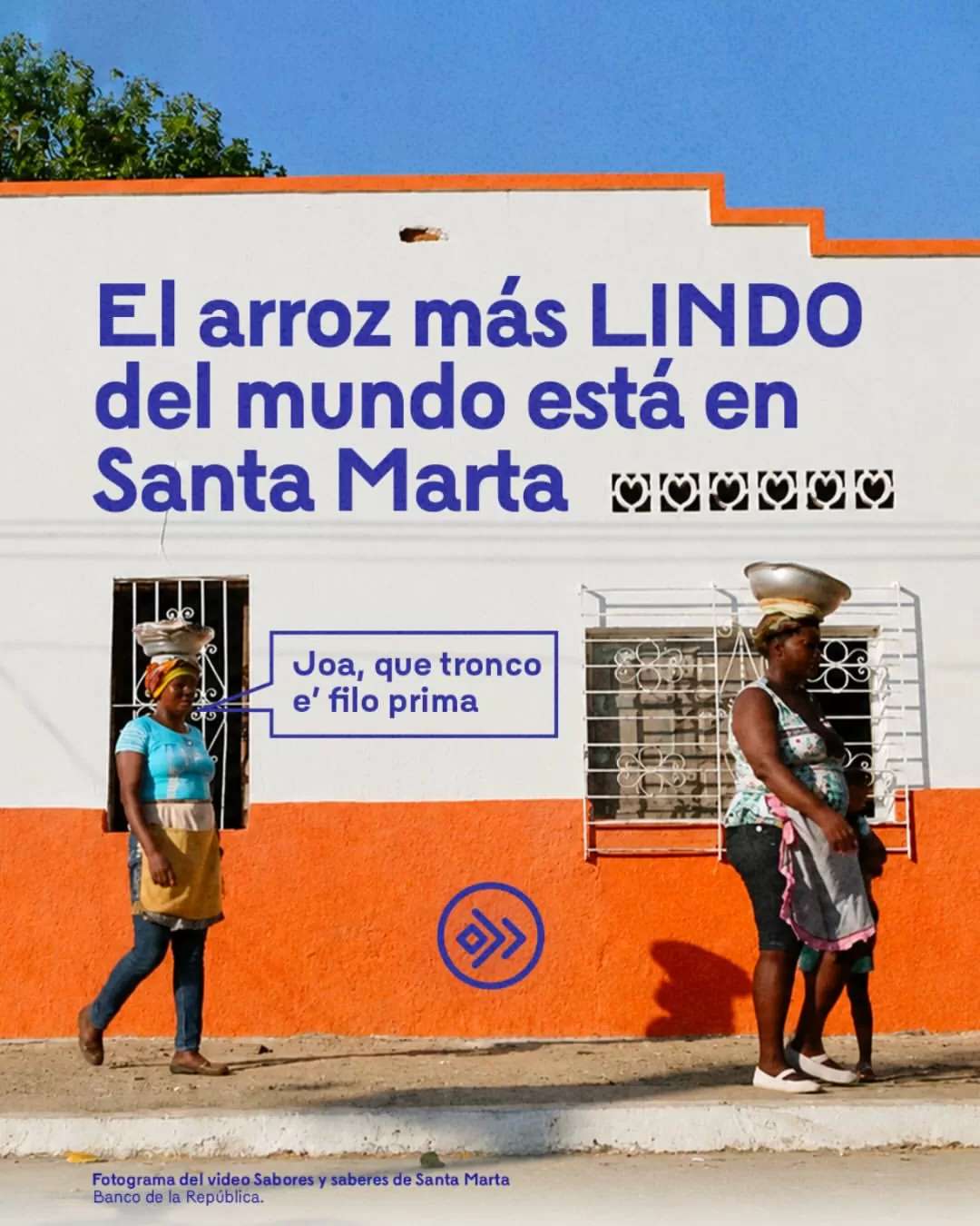 El arroz más lindo del mundo está en Santa Marta.