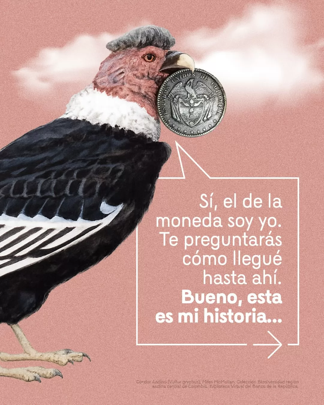 Sí, el de la moneda soy yo. Te preguntarás como llegué hasta ahí. Bueno, esta es mi historia.