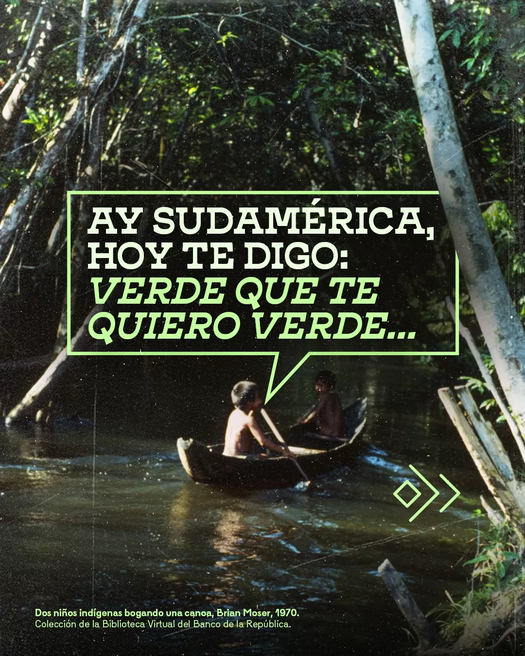 Ay Sudamérica, hoy te digo: Verde que te quiero verde...