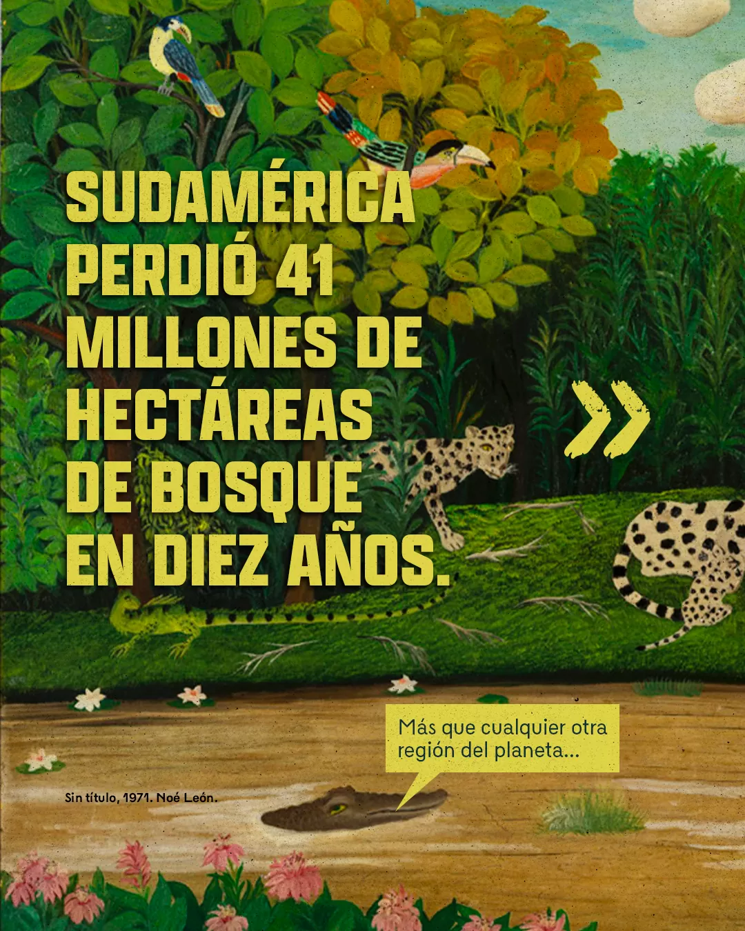 Sudamérica perdió 41 millones de hectáreas de bosque en diez años.
