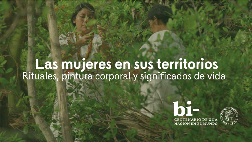 dos mujeres en las salva recolectando granos de café