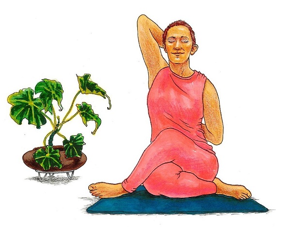 Ilustración yoga en el Museo del Oro