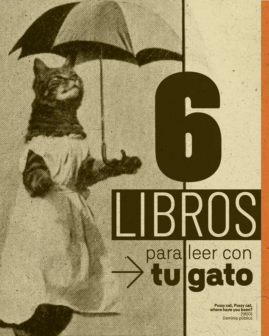 Imagen a blanco y negro de un gato, usando un vestido 