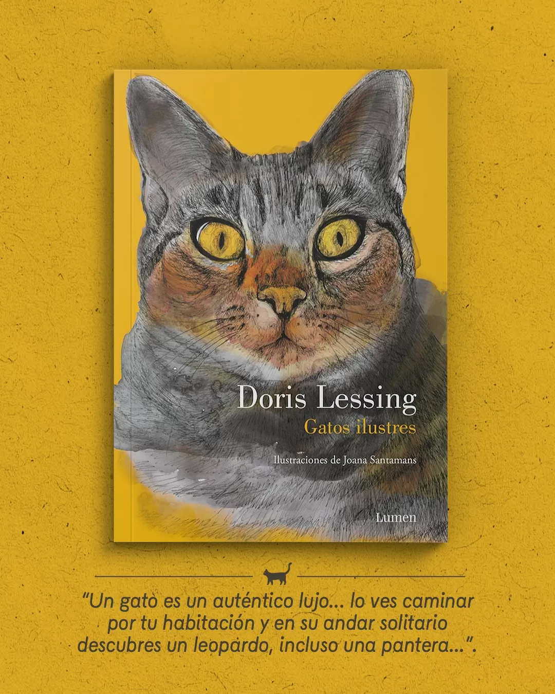 Imagen a color de un gato gris en la portada de un libro amarillo 