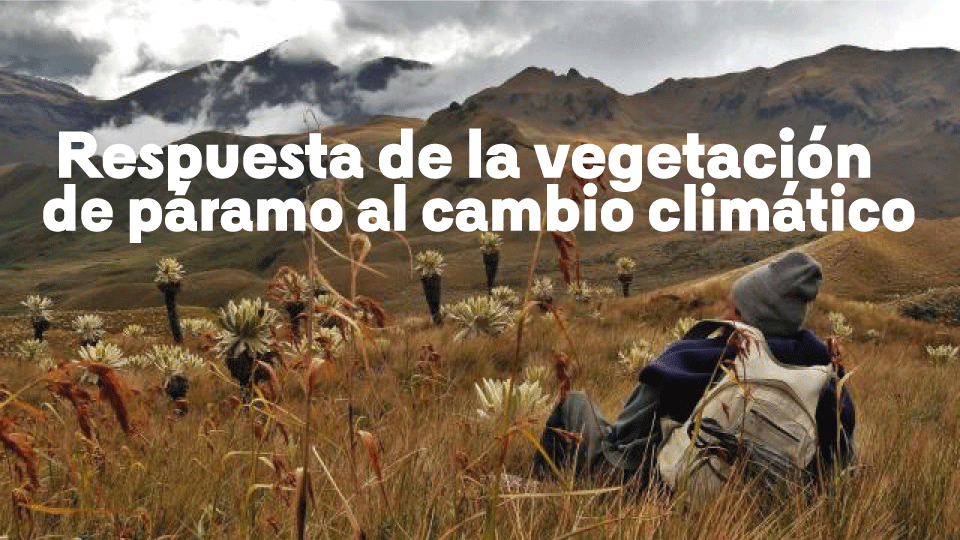 Hombre de espaldas acostado en un páramo