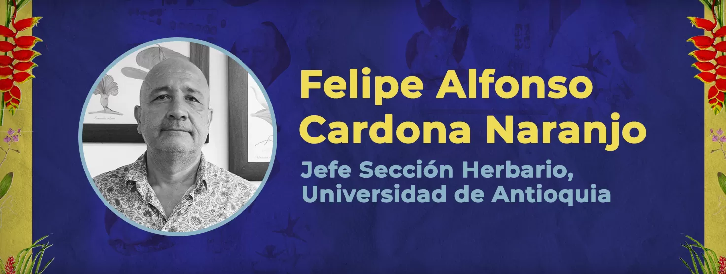 Felipe Alfonso Cardona Naranjo - Seminario de Coleccionismo - Medellín