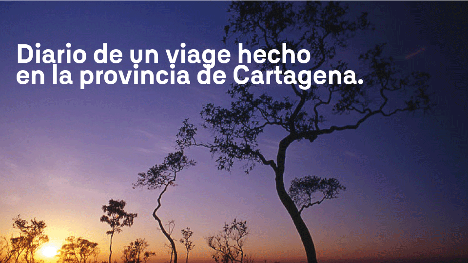 paisaje en atardecer