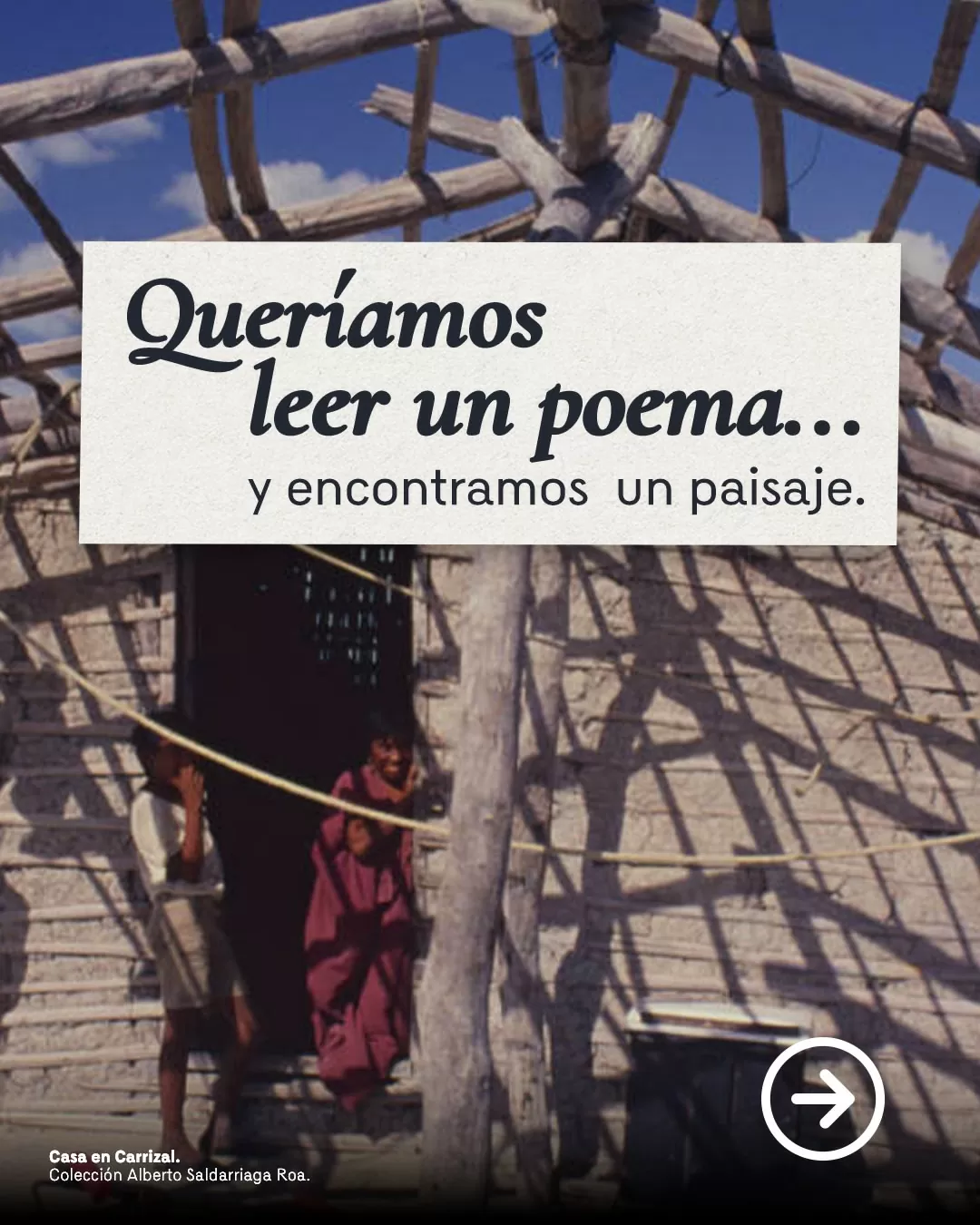 Queríamos leer un poema... y encontramos un paisaje.