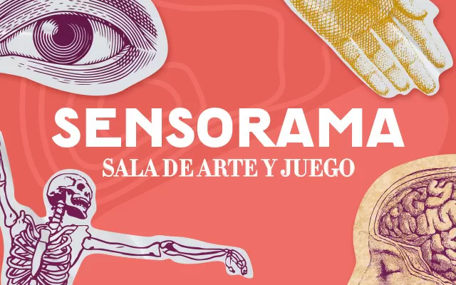 ilustración con imágenes de manos, ojos, oídos y el texto: Sensorama 