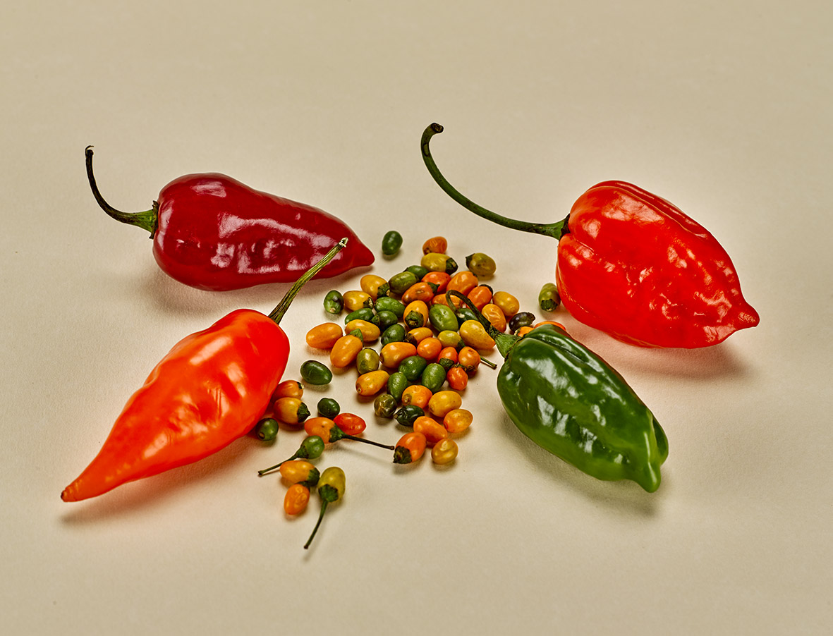 Ají picante, Ají dulce y Ají pajarito