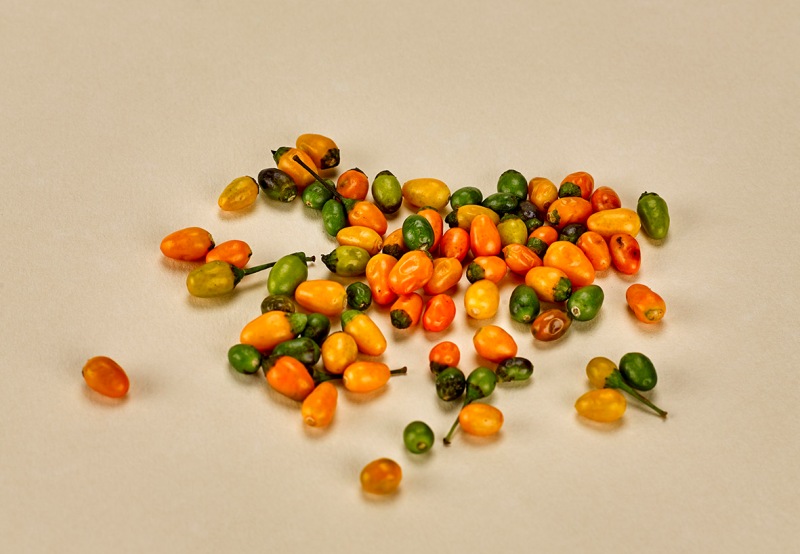 Ají picante pajarito