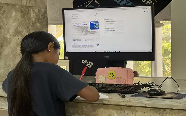 Alfabetización informática-ALFIN