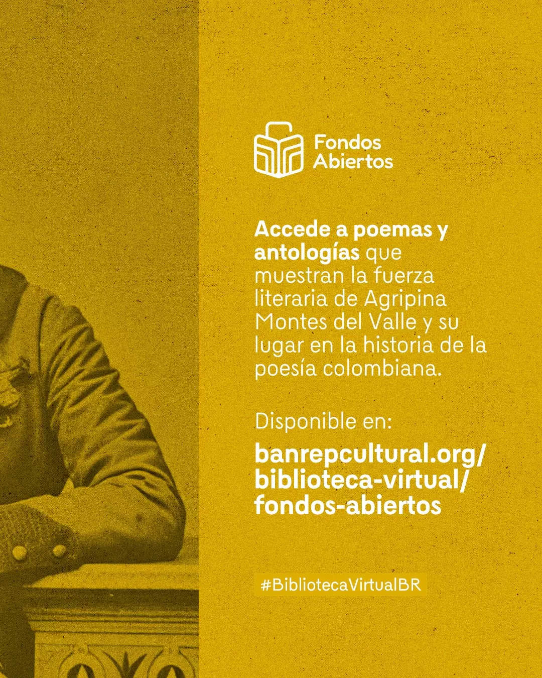 Fondo amarillo y el texto: Accede a poemas y antologías que muestran la fuerza literaria de Agripina Montes del Valle y su lugar en la historia de la poesía colombiana