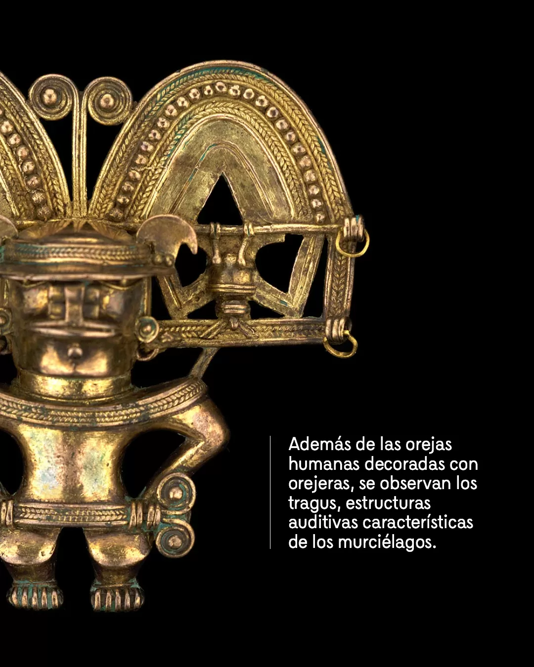 Figura dorada y el texto: Además de las orejas humanas decoradas con orejeras, se observan los tragus, estructuras auditivas características de los murciélagos 