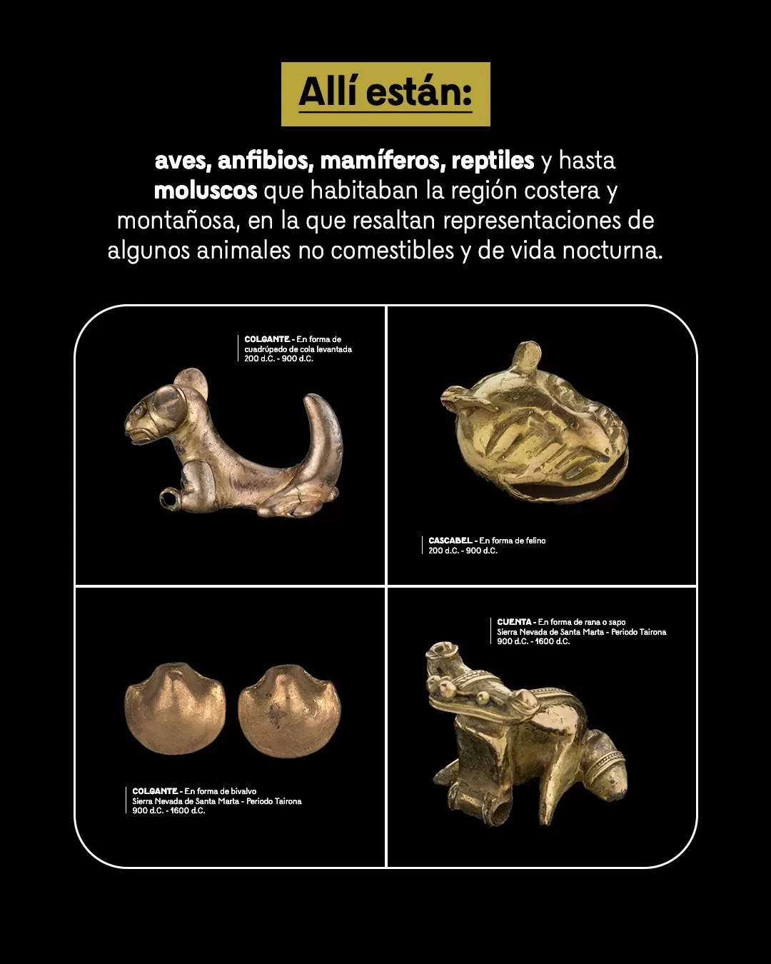 Figuras de orfebrería y el texto: En el mundo tairona, las piezas de orfebrería pueden aparecer solas, mezcladas entre sí o transformadas en figuras mitad humano mitad animal