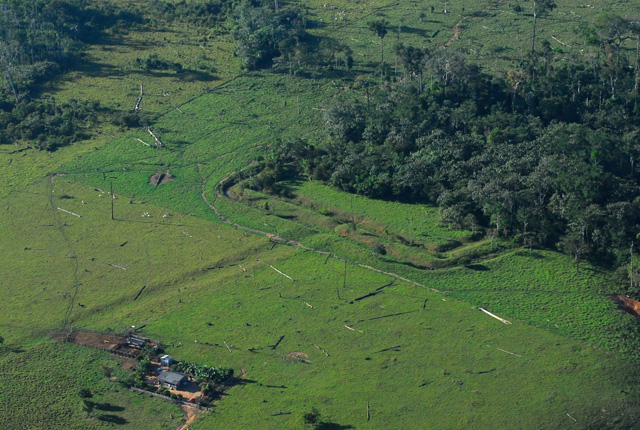 Impacto ambiental en el Amazonas