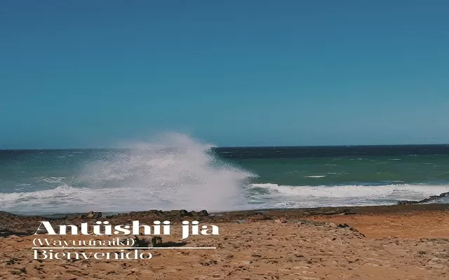 Antüshi Jia