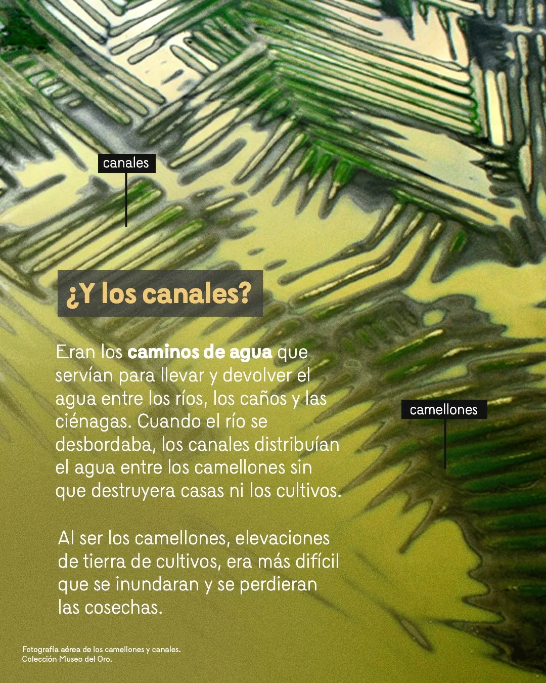 Colección Museo del Oro