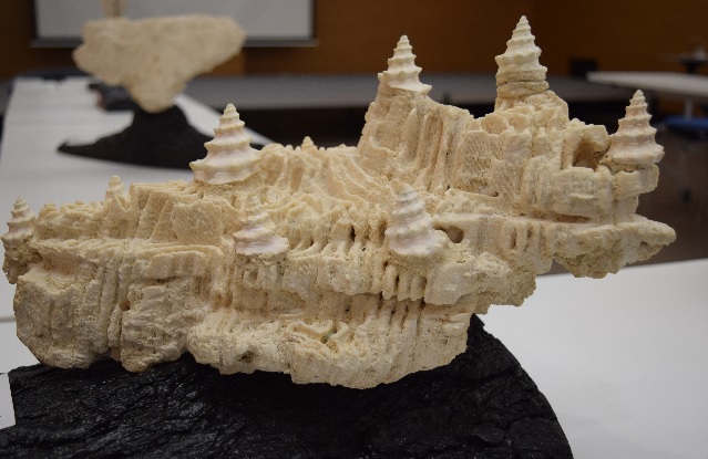Ciudad de Atlantis, escultura en coral fosilizado