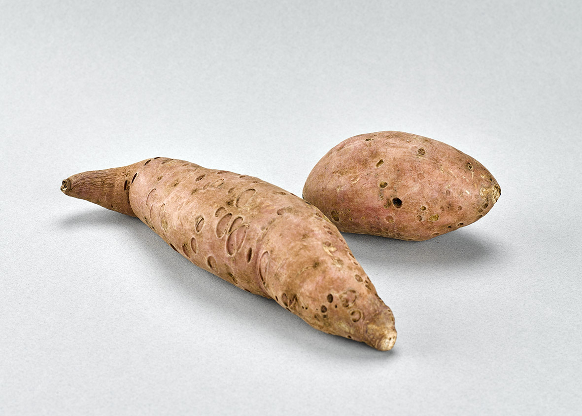 Batata camote