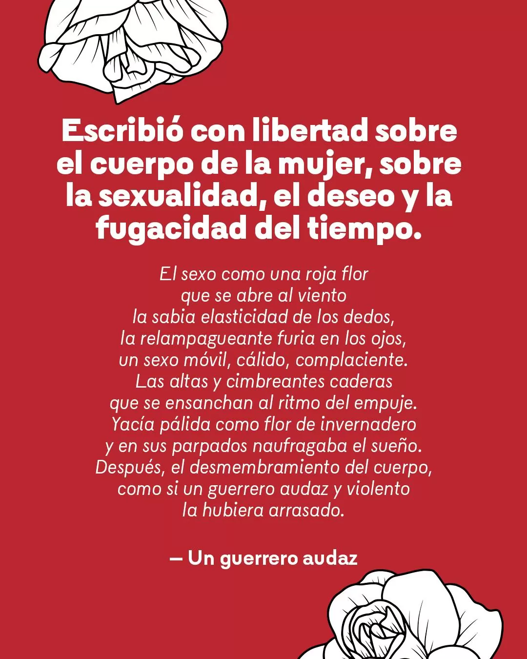Ilustración, con fondo rojo, y un texto de Beatriz Zuluaga 