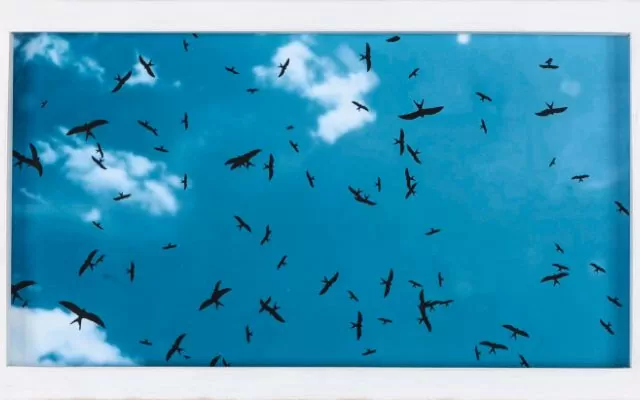 Boceto “Aves - kioskos", Angélica Teuta