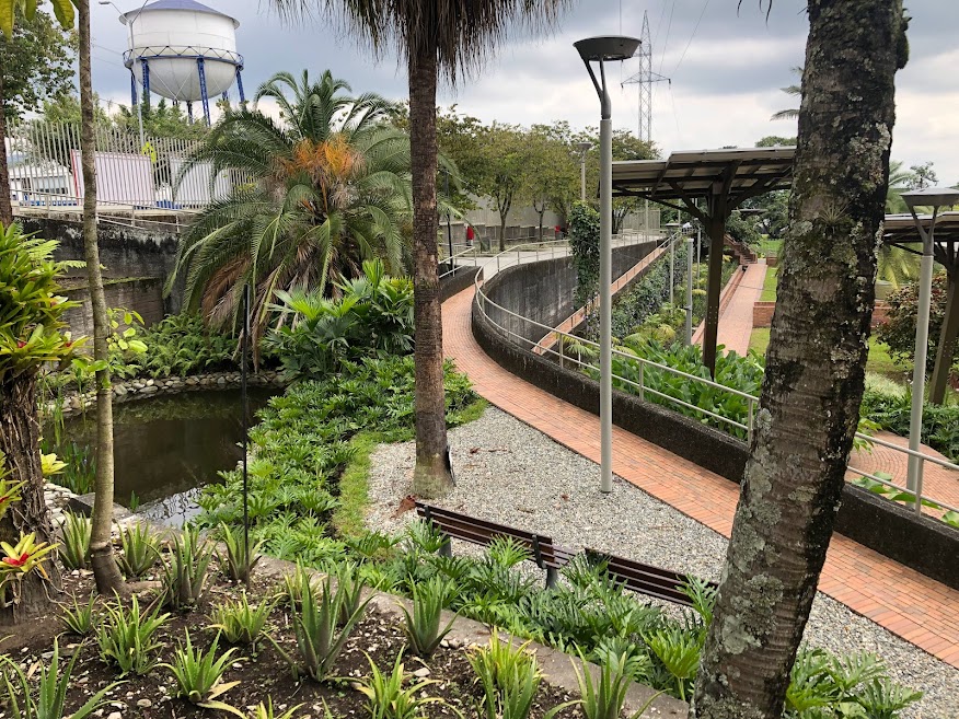 Al fondo, el camino de palmas