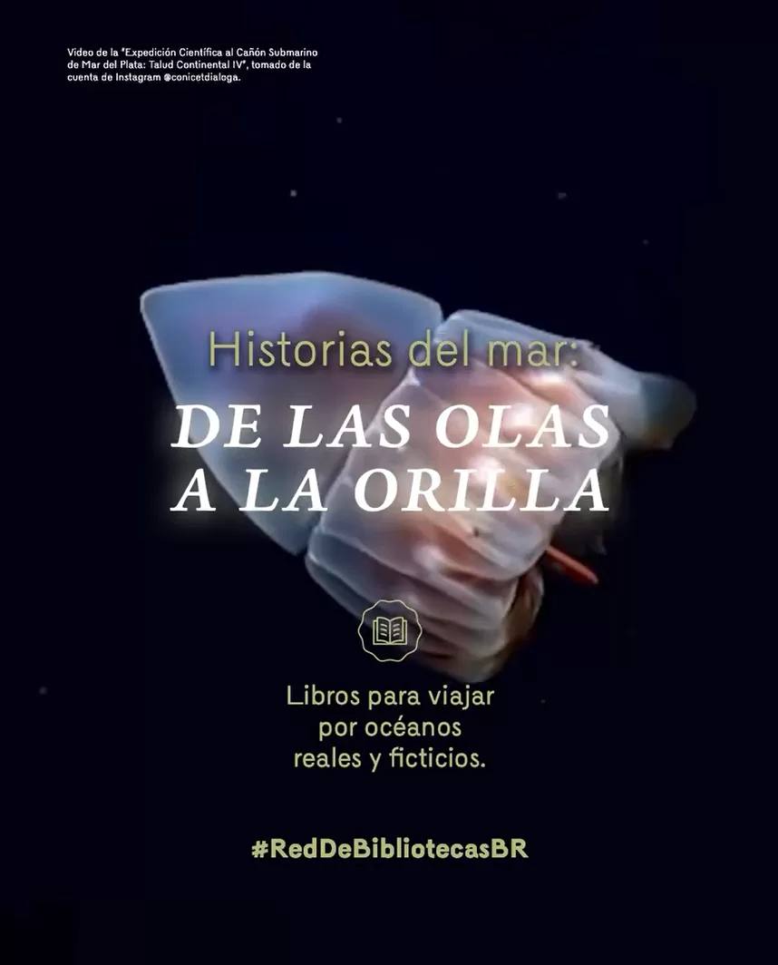 Historias del mar: de las olas a la orilla