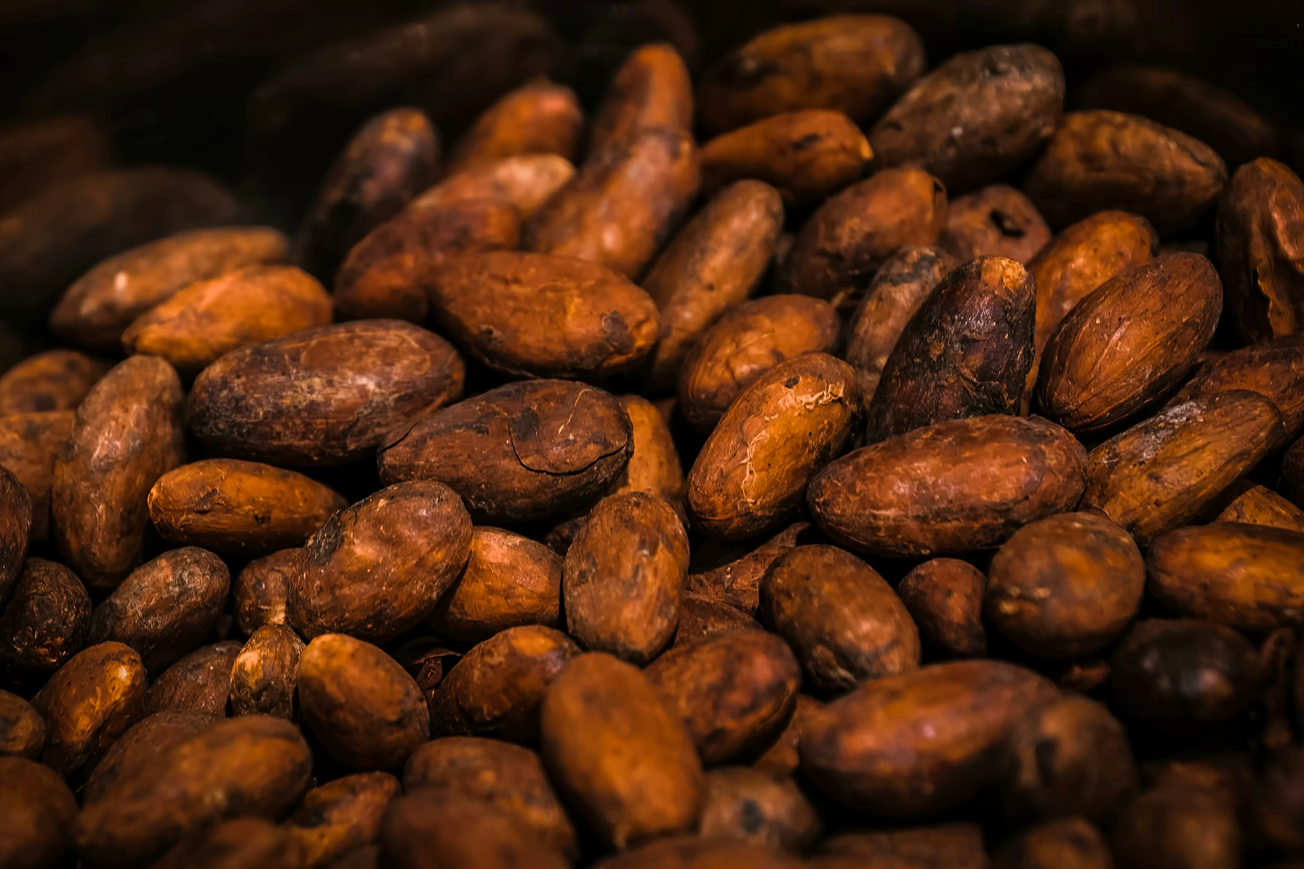 Cacao