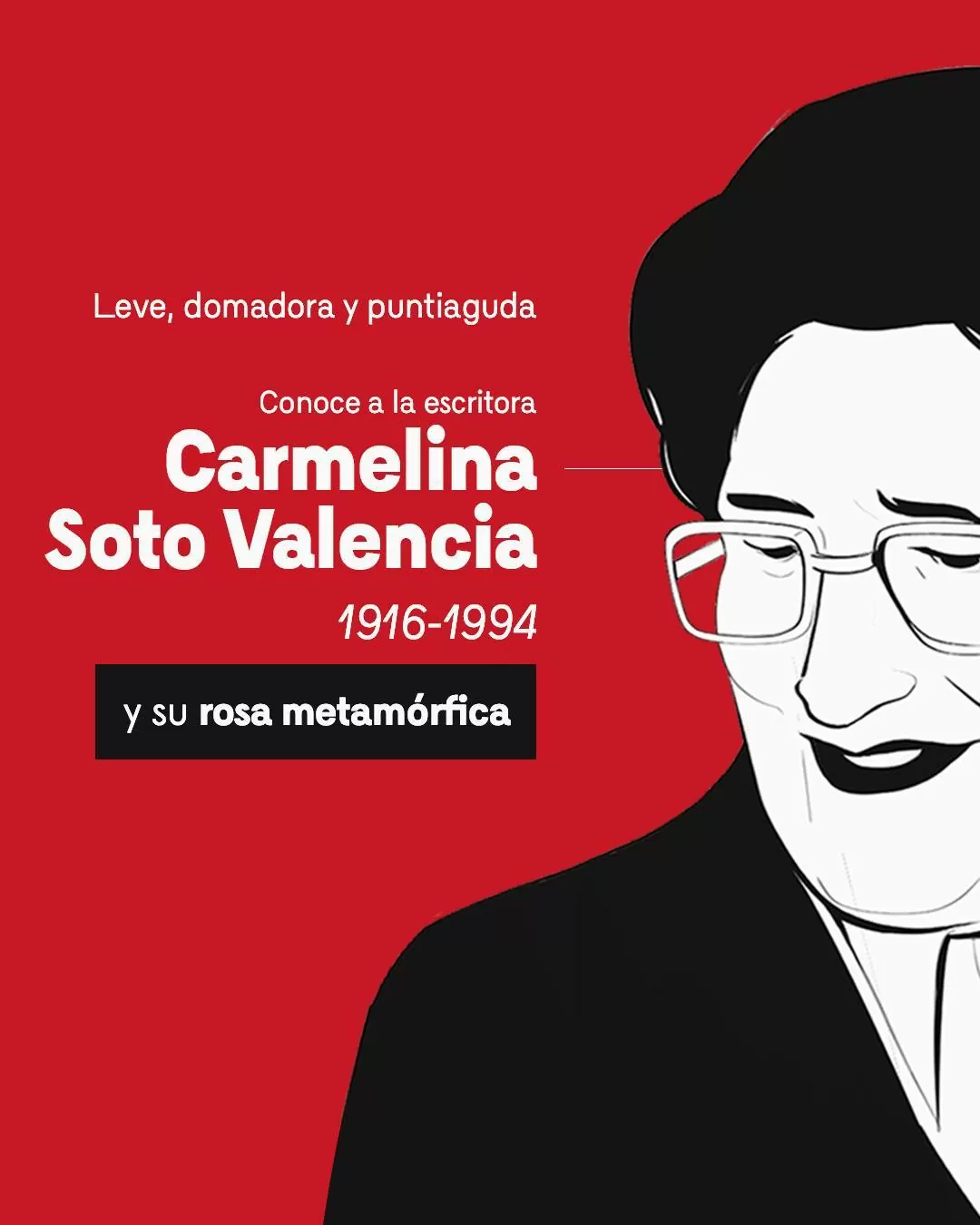 Ilustración de Carmelina Soto Valencia con el texto: Leve, domadora y puntiaguda. Conoce a la escritora Carmelina Soto Valencia (1916-1994) y su rosa metamórfica 