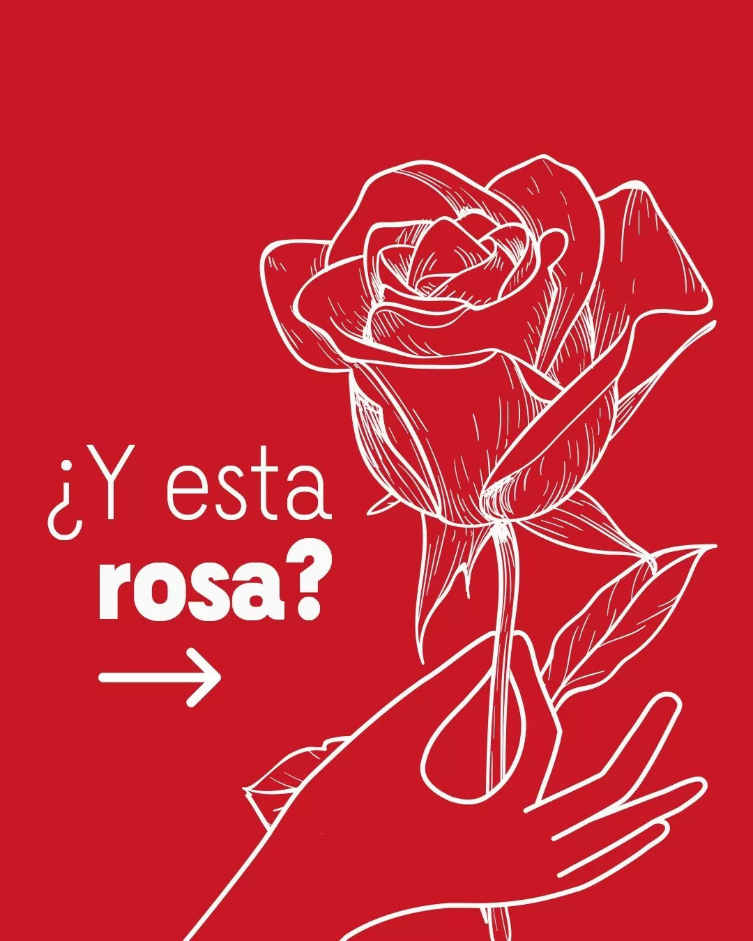 Ilustración en fondo rojo de una mano sosteniendo rosa blanca y texto que dice ¿Y esta rosa?