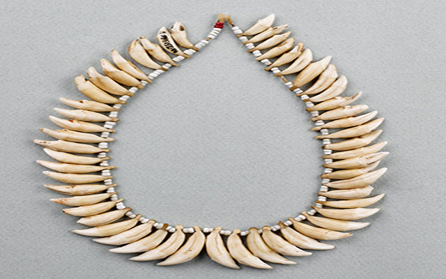 Collar de dientes de animales