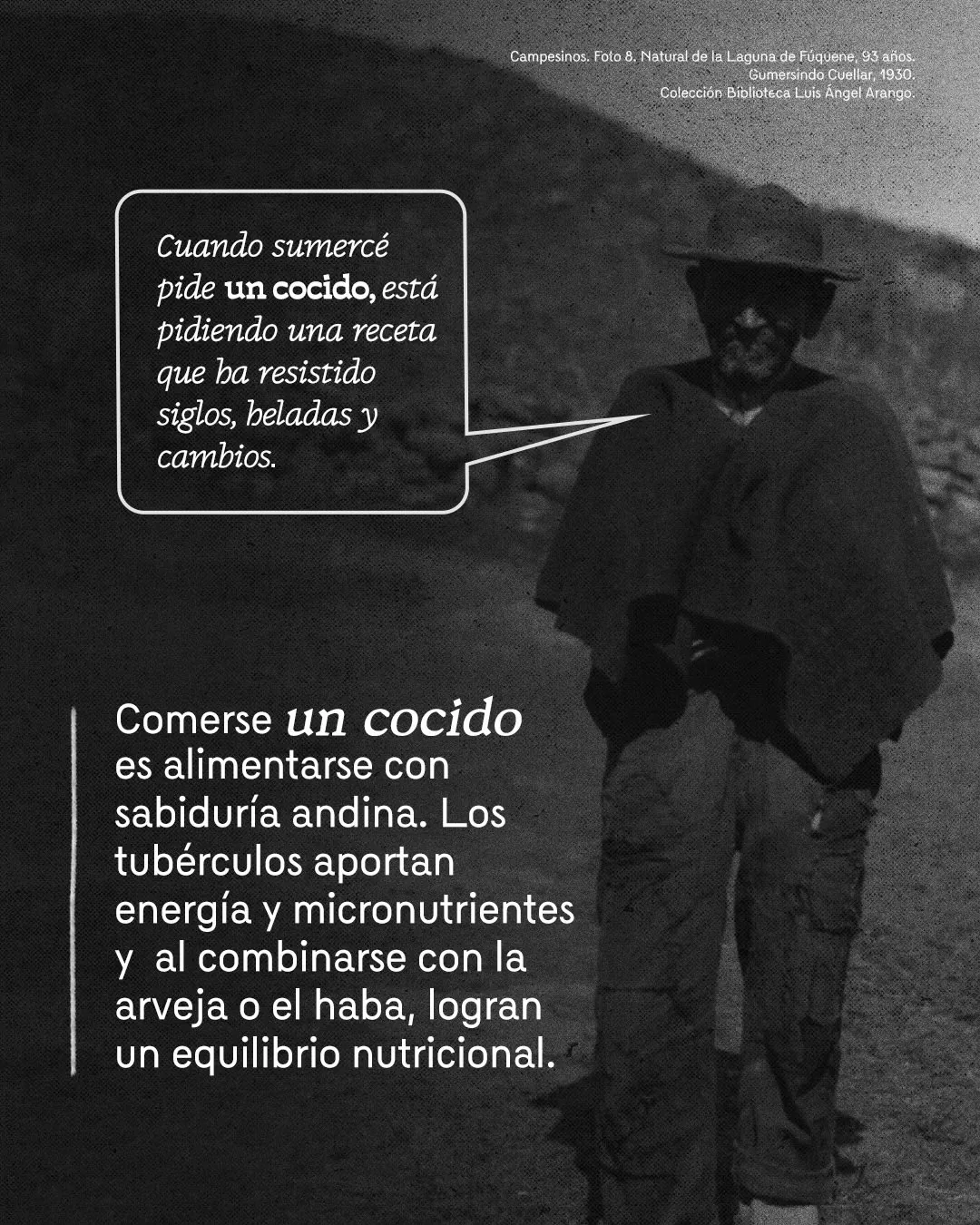 Fotografía de campesinos y el texto: Comerse un cocido es alimentarse con sabiduría andina. Los tubérculos aportan energía y micronutrientes y al combinarse con la arveja o el haba, logran un equilibrio nutricional 