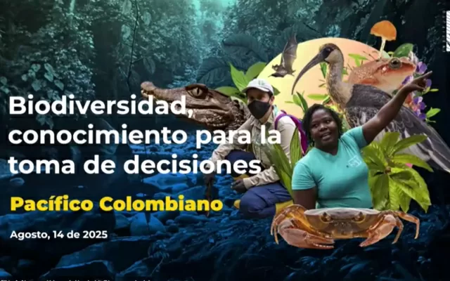 Ilustración sobre una conferencia, en el marco del V encuentro de investigadores del Pacífico 