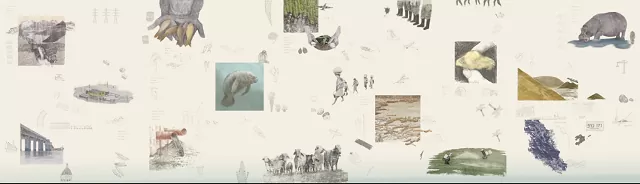 Imagen conflictos y dilemas en la cuenca del Magdalena