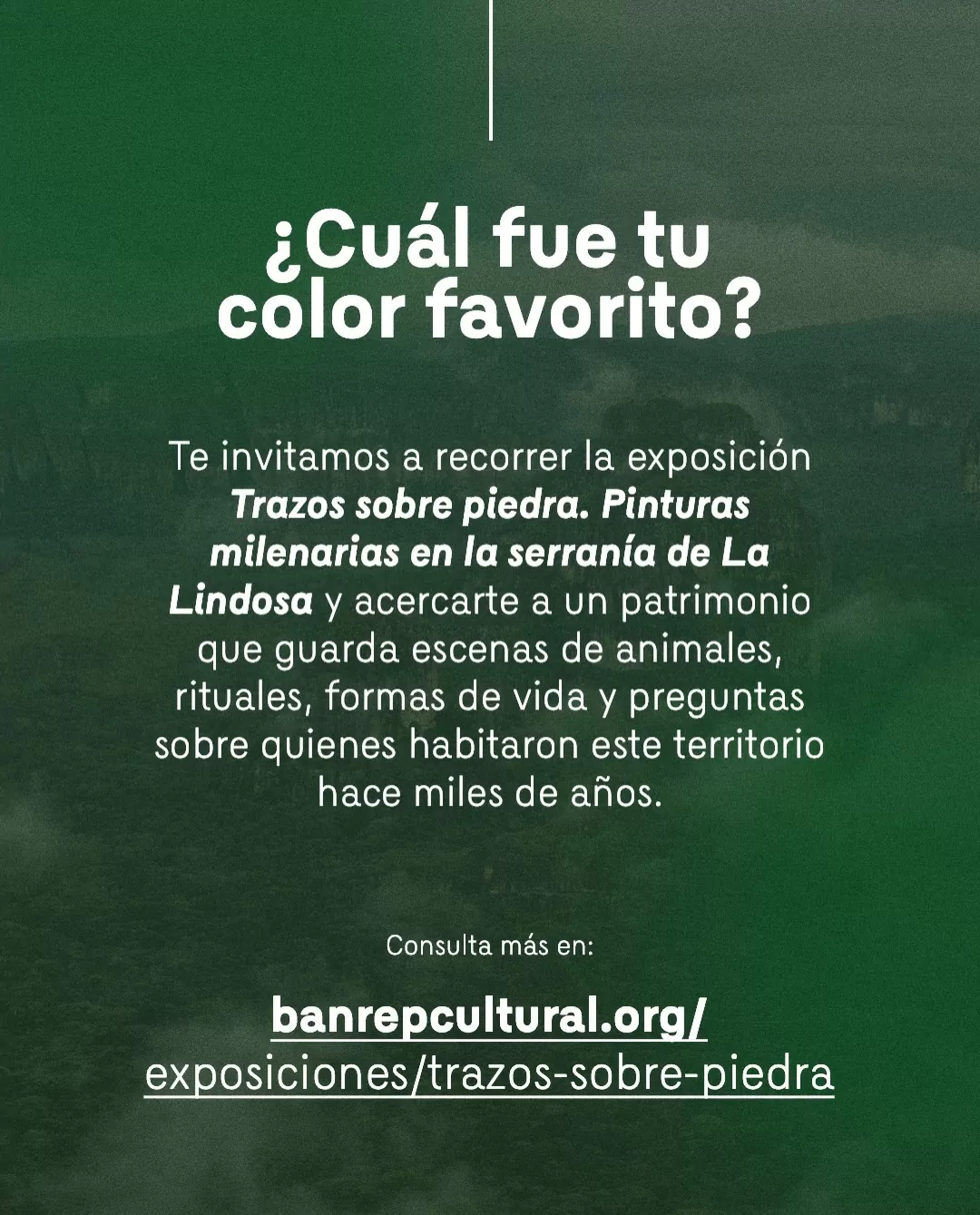 Fondo verde y el texto: ¿Cuál fue tu color favorito? Te invitamos a recorrer la exposición ‘Trazos sobre piedra: pinturas milenarias en la Serranía de La Lindosa’  